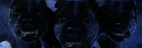 A Jornada de Fofo Da Pedra Filosofal aos Corações dos Fãs