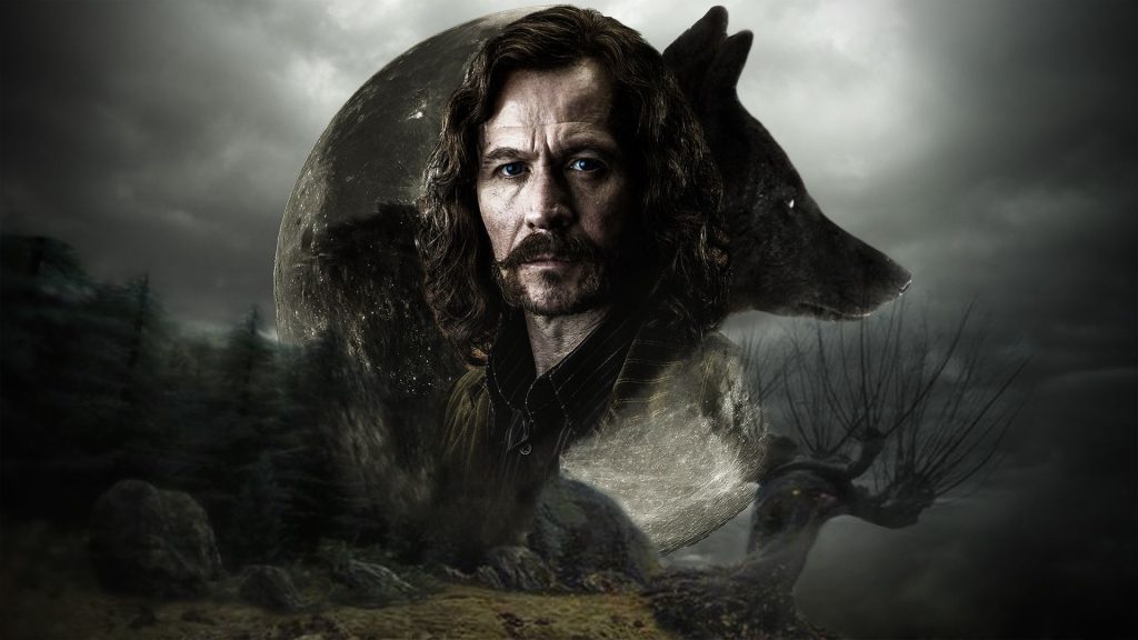 Desvendando os Mistérios de Sirius Black Uma Visão Detalhada de sua Trajetória no Mundo Mágico