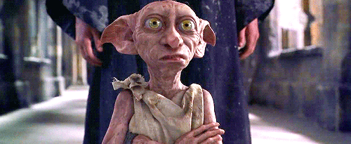 Dobby Da Submissão à Libertação - Uma História de Autodescoberta