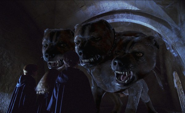 Fofo A Criatura Mágica que Cativou o Mundo de Harry Potter