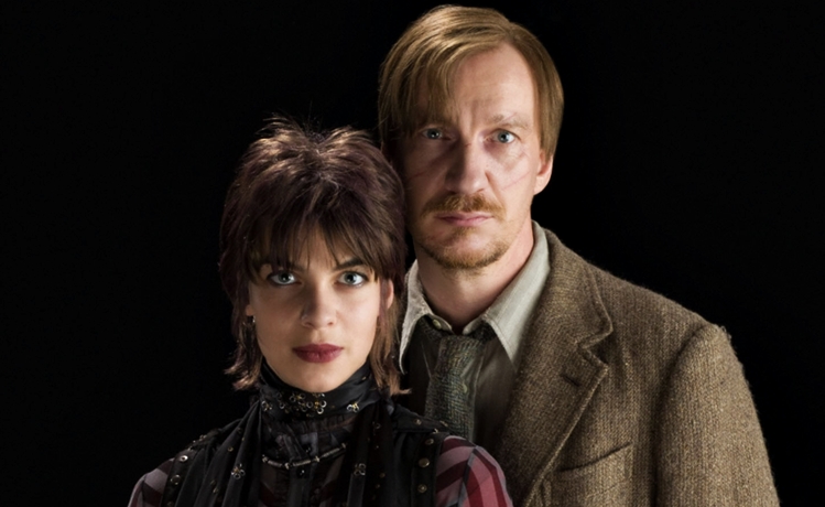 Professor e Protetor A Vida de Remo Lupin em Hogwarts e O Amor por Ninfadora Tonks