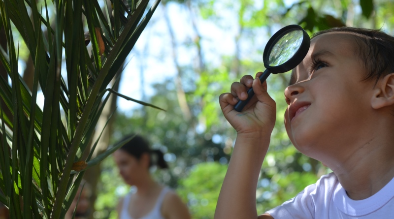 Tédio Não Mais! Descubra 16 Maneiras de Aproveitar seu Tempo Livre ao Máximo