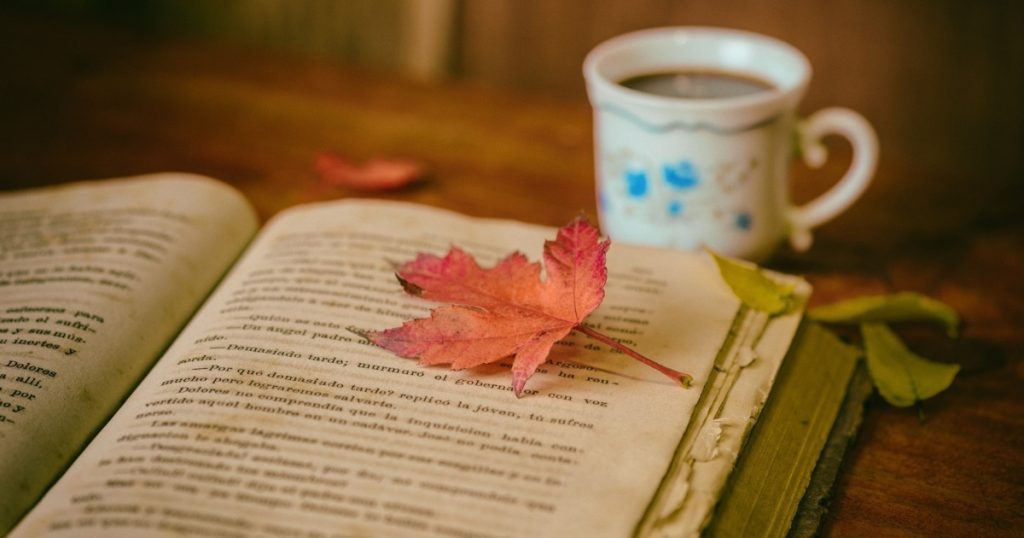 Transforme o Tédio em Oportunidade 16 Ideias para Aproveitar seu Dia